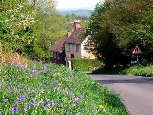 Hotel Brambletye Forest Row